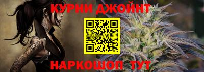крисы Новозыбков
