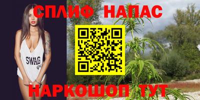 крисы Новозыбков