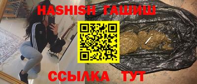 крисы Новозыбков